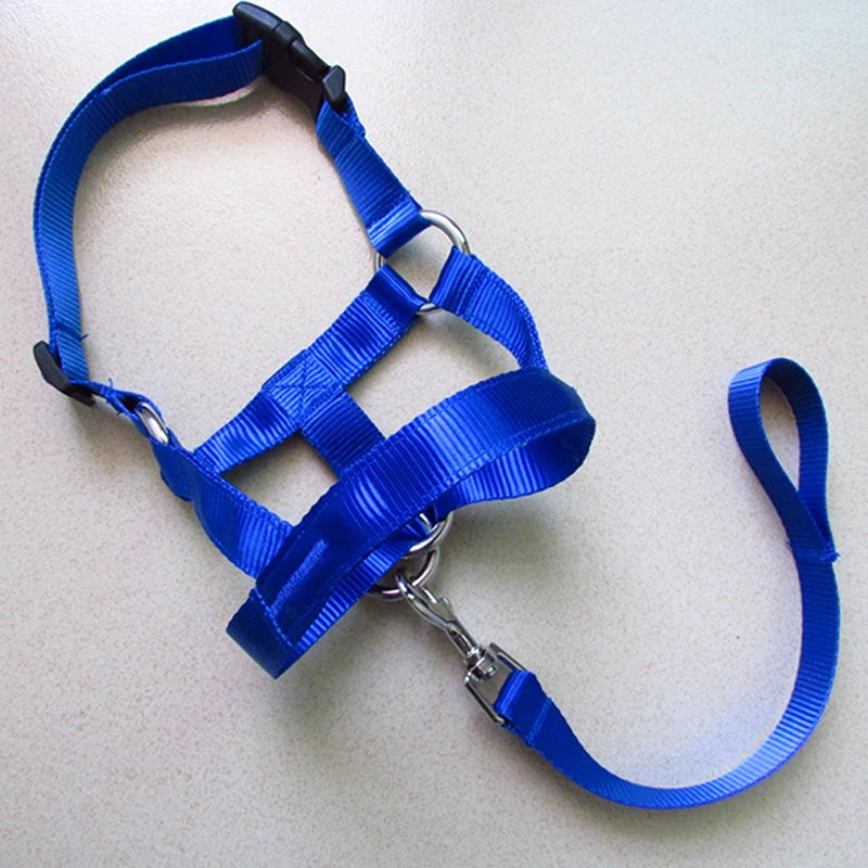 Halti Head Harness