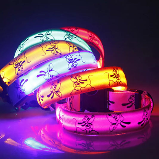 Luminescent Collar