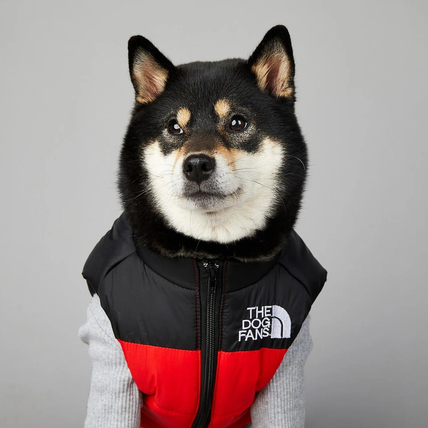 The Dog Fans Colorful BodyWarmer