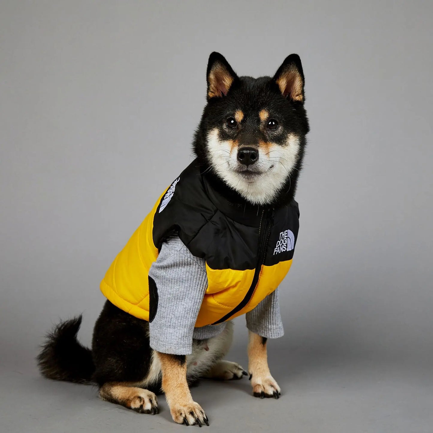 The Dog Fans Colorful BodyWarmer