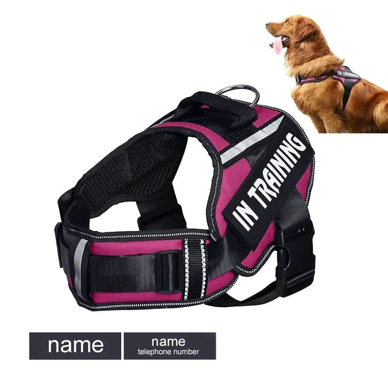 Personalized Reflective Harness