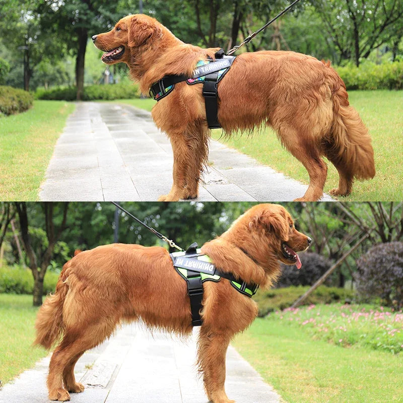 Personalized Reflective Harness